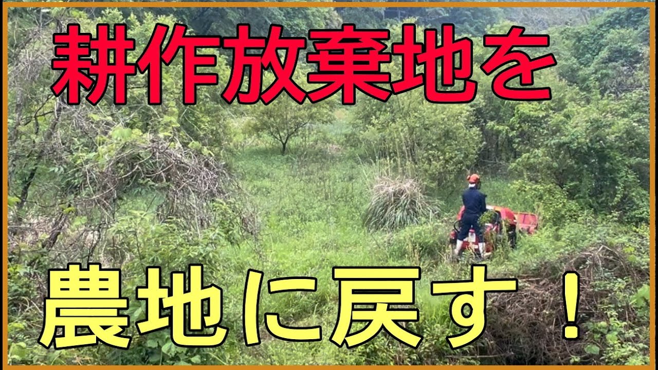 10年以上放棄された荒地を農地に戻す！