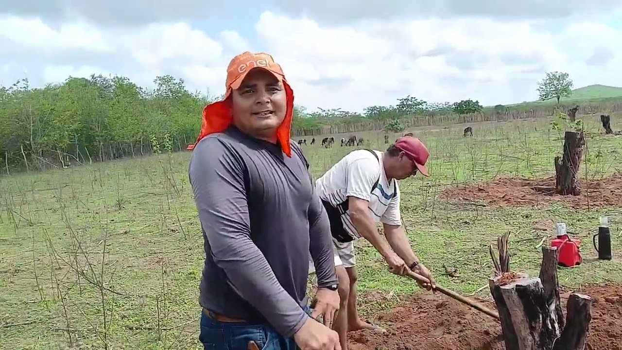 🔴 A vida aqui no nordeste não é fácil  mais vai da certo 