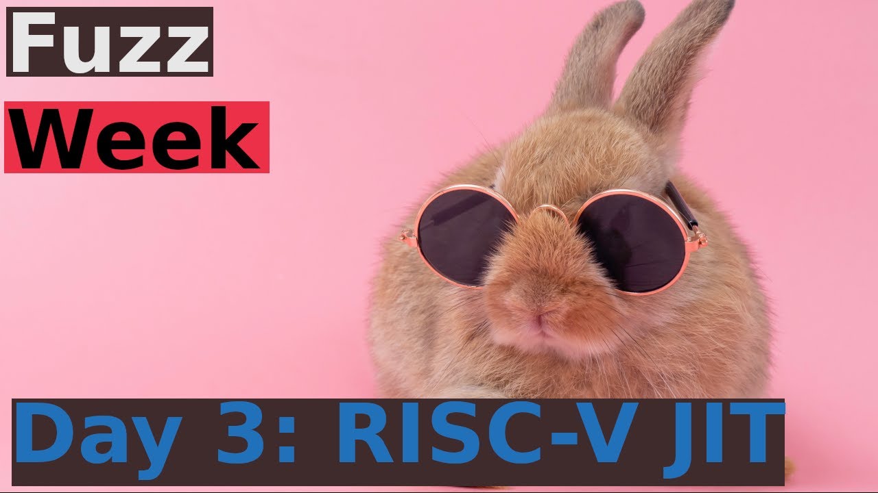 Fuzz Week Day 3/4: RISC-V JIT for Extra Perf (Part 1/2)