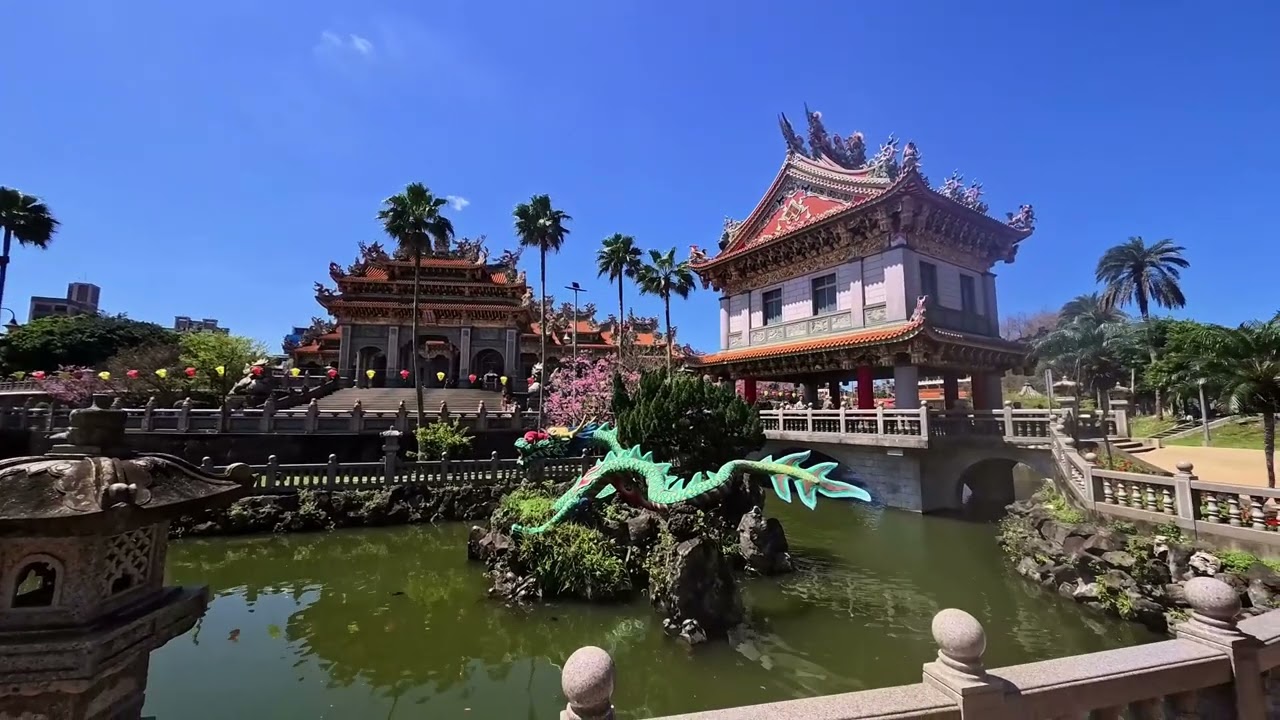 竹林山觀音寺的櫻花20260311