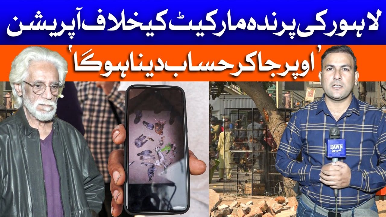 Lahore's Bird Market Demolished! What's Behind This MAJOR Action and Negligence of Govt? | Dawm News