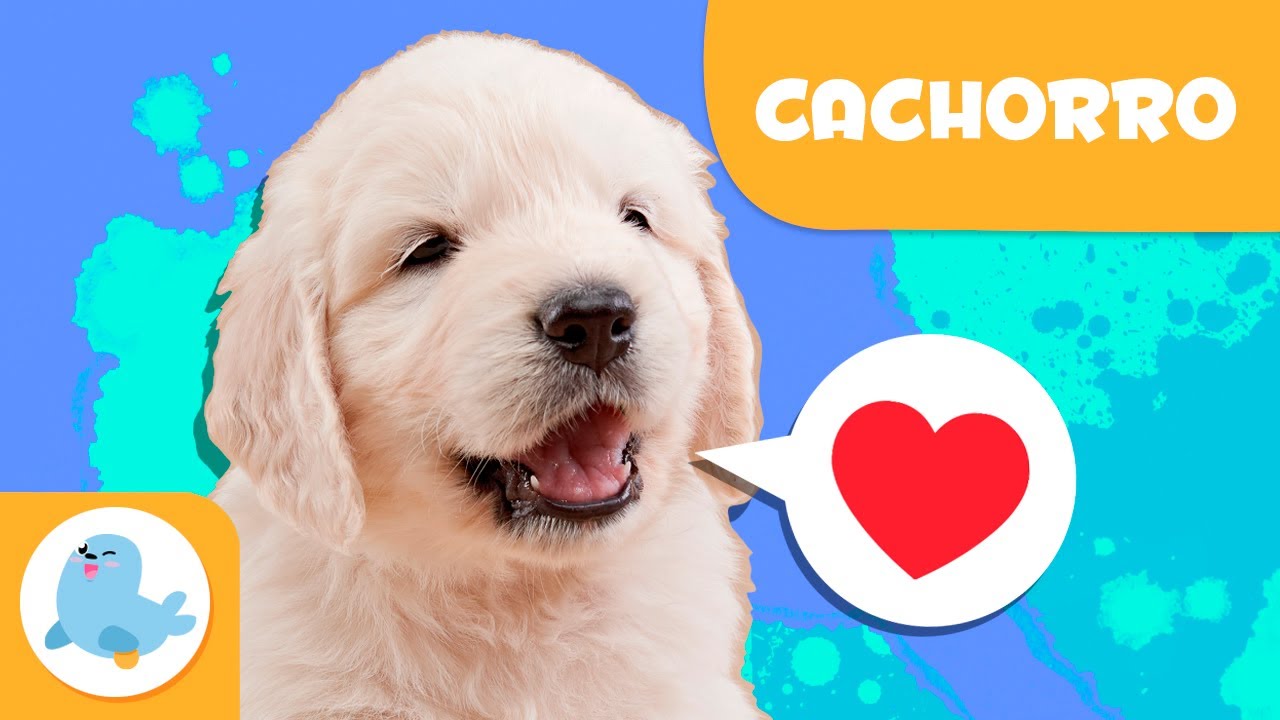 CACHORRO 🐶 Animais para crianças 🏡 Episódio 15