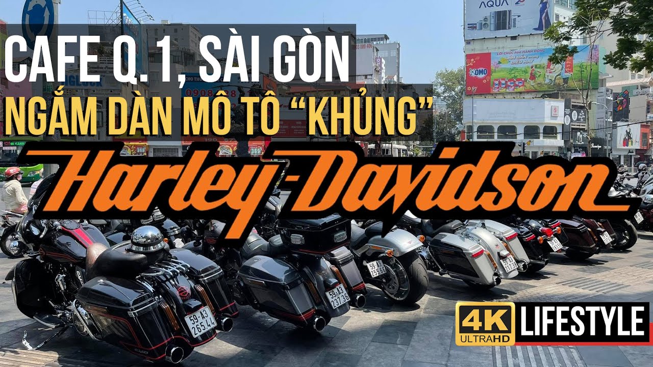 NGẮM DÀN MÔ TÔ 