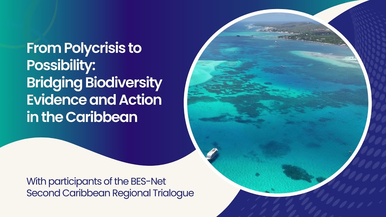 From Polycrisis to Possibility, Bridging Biodiversity Evidence and Action in the Caribbean
