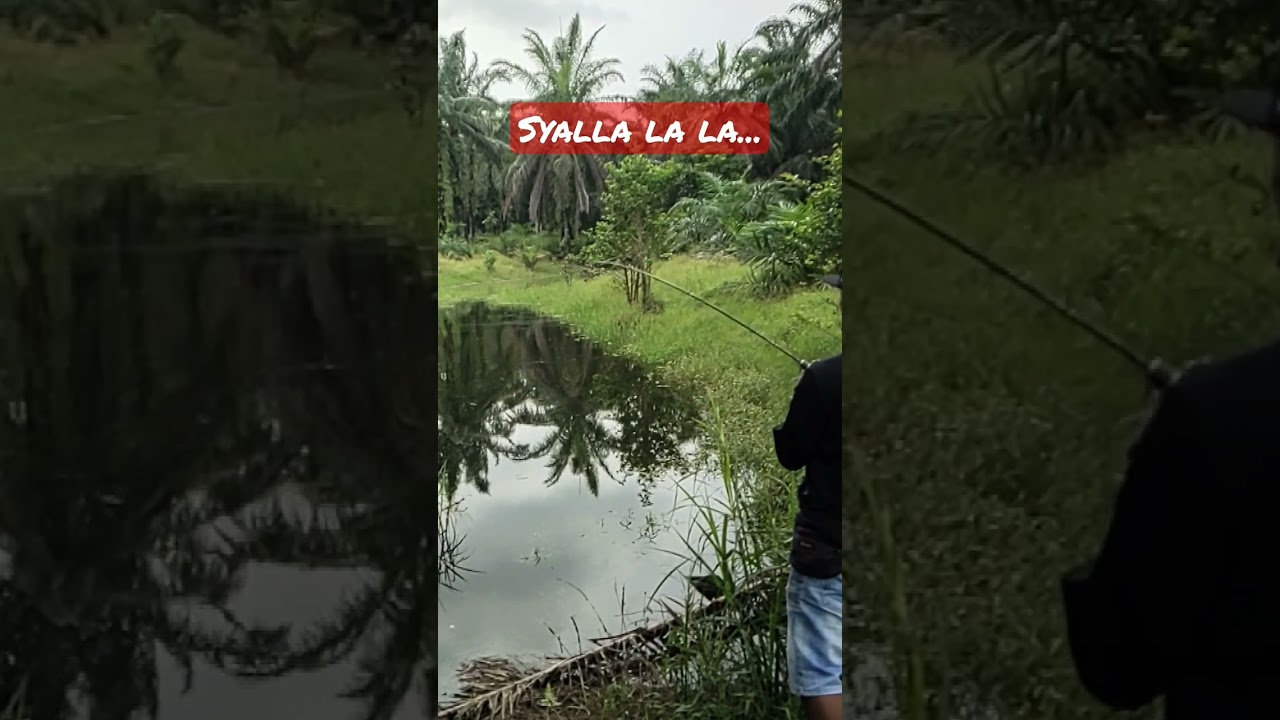 yang di tunggu"