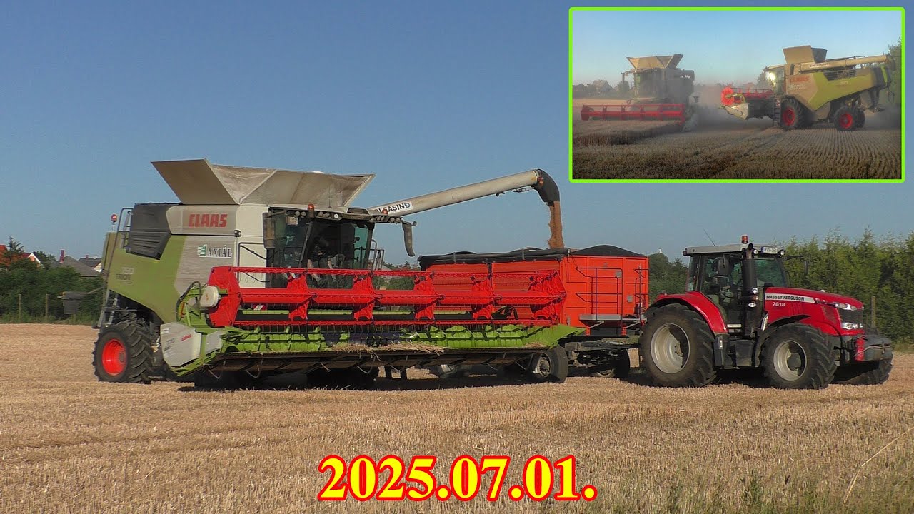 │2025.07.01.│🇩🇪 2X CLAAS TRION 750 + 3X 🇺🇸 MF🚜│ Búza aratás / Wheat harvest│🌾🚜☀️🇭🇺