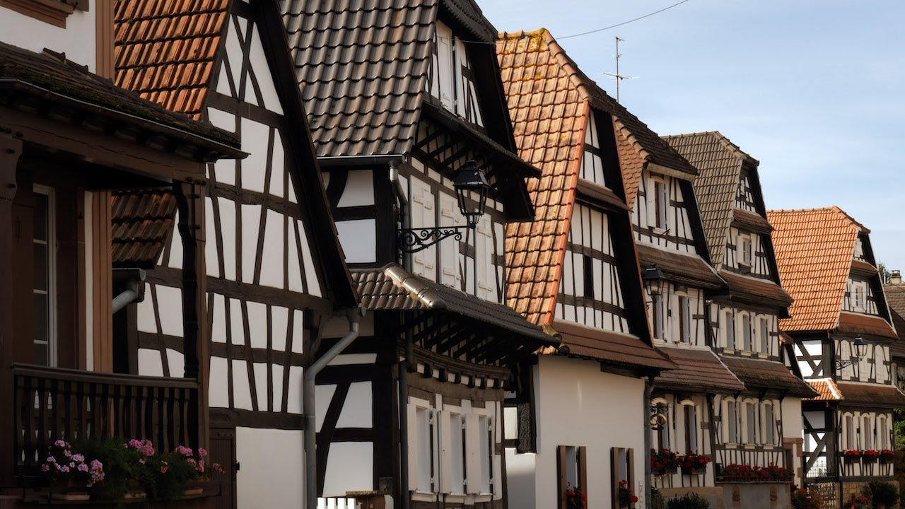 Voyages Vert Vous - L'Alsace Verte, reconnexion avec son patrimoine vivant