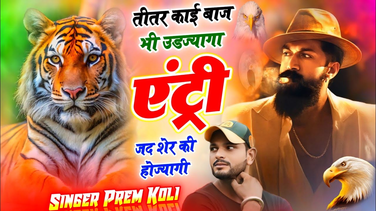 तीतर काई बाज भी उड़ जायेगा एंट्री शेर की होगी !! Titar Kai Baaj Bhi Udjyaga