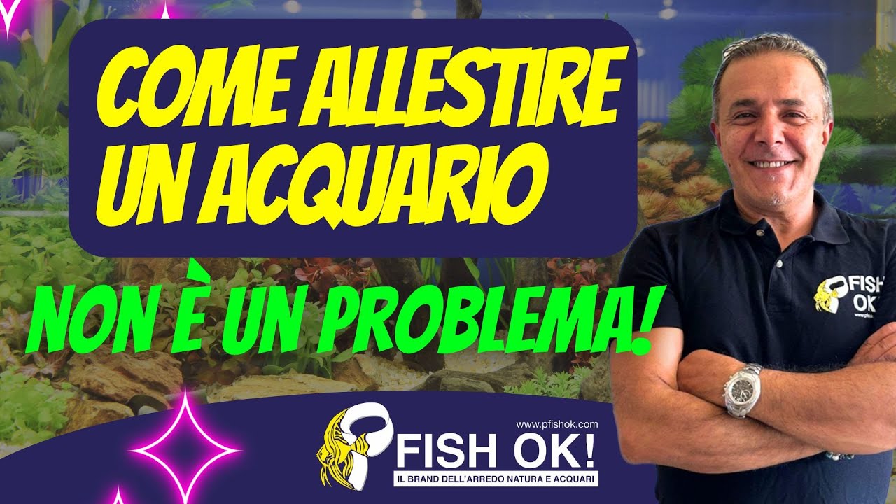🐟  Come Allestire un Acquario ed angolo di natura dalla A alla Z