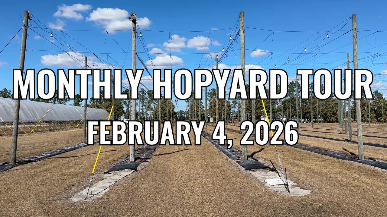 Monthly Hopyard Tour (2026-02-04) | Univ of Florida Hops Research