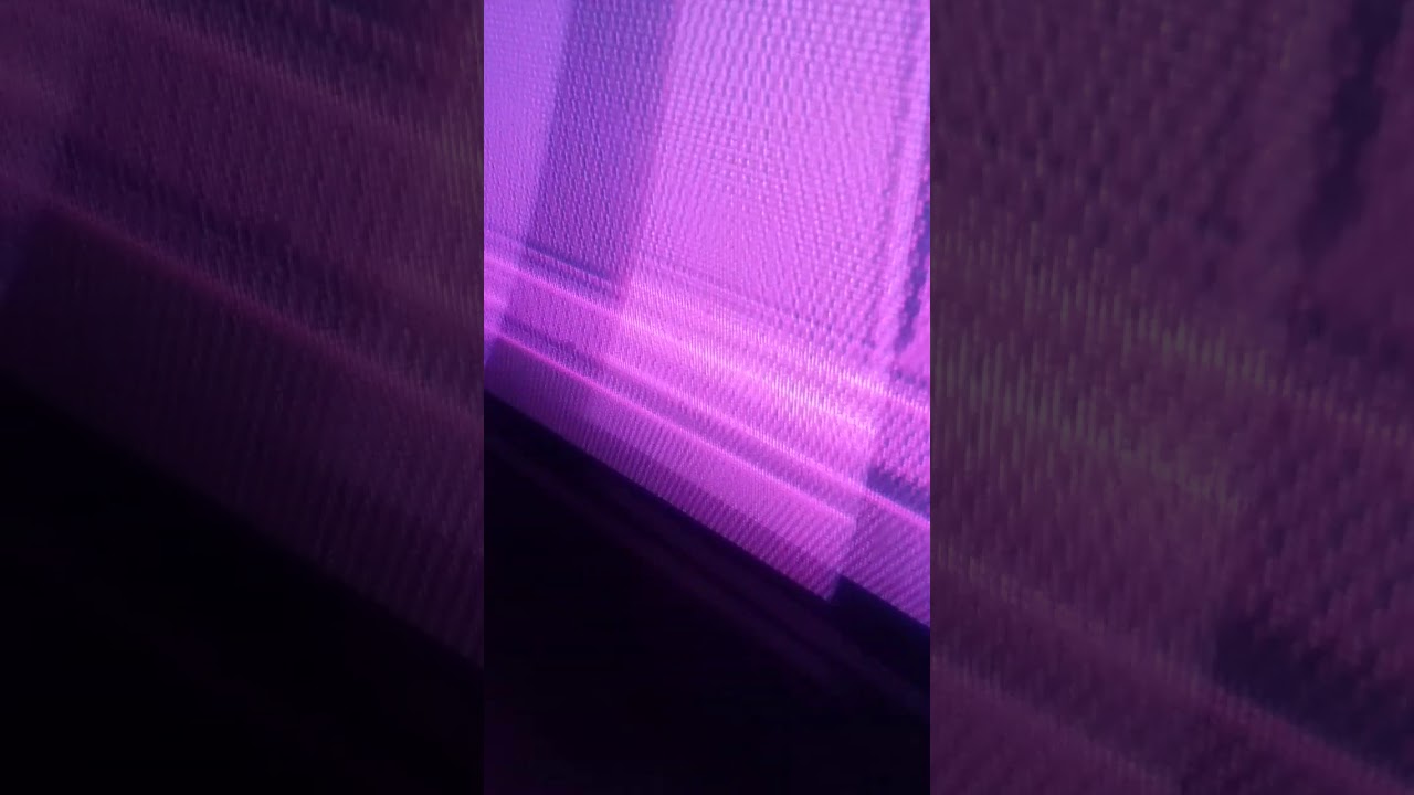 Ino irm&atilde; Silva ingidas do rei
