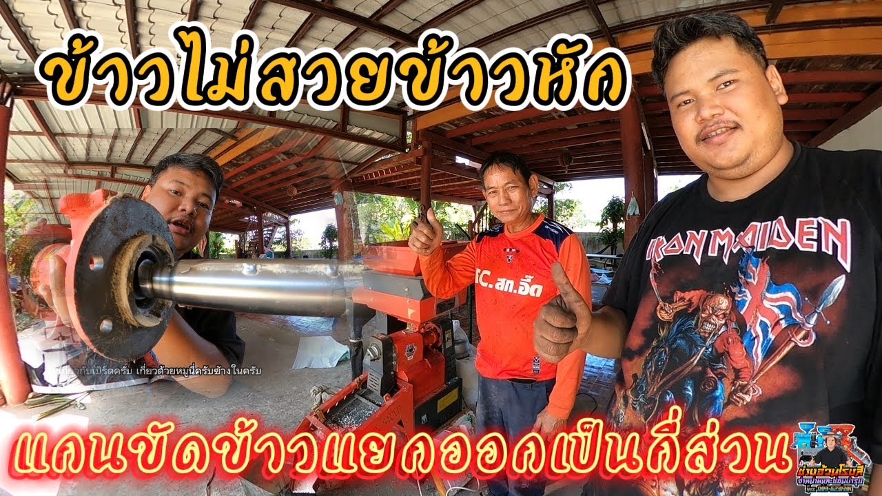 ข้าวไม่สวยข้าวหัก แกนแยกออกเป็นกี่ส่วน