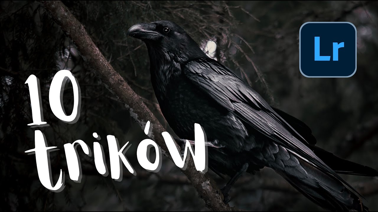 10 TRIKÓW w LIGHTROOM które musisz znać!