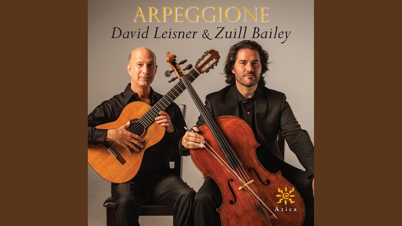 Arpeggione Sonata in A Minor, D. 821 (Arr. for Cello & Guitar) : I. Allegro moderato