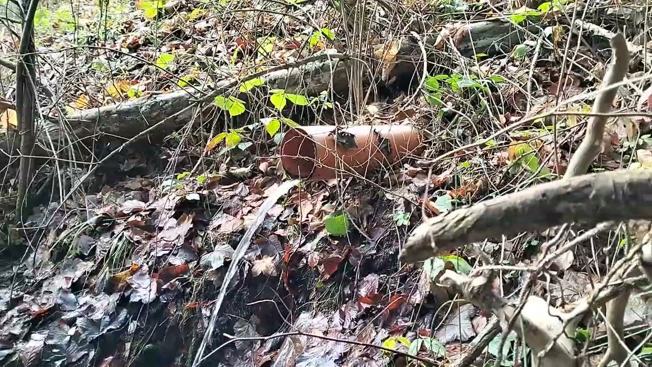 Riese. Gontowa. Woda . Coś zbadamy...