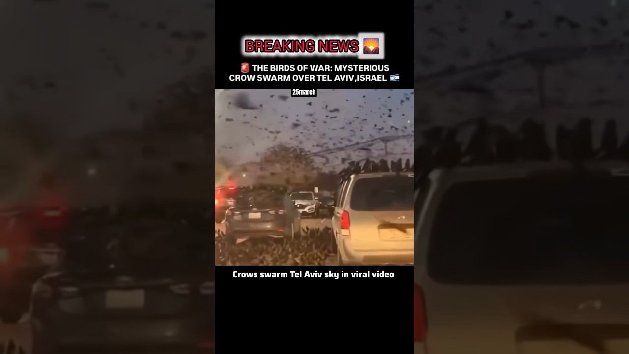 🚨THE BIRDS OF WAR: MYSTERIOUS CROW SWARM OVER TEL AVIV