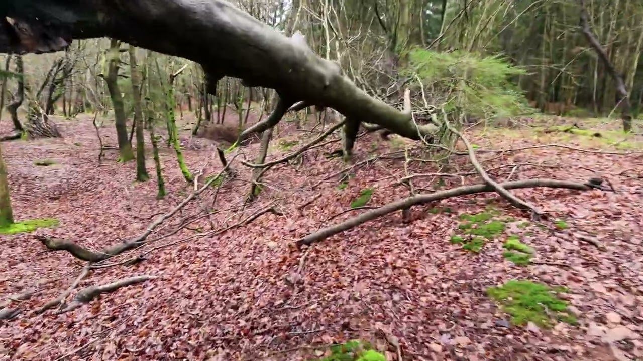 ALL DRONE FOOTAGE / 2ND FEBRUARY 2026