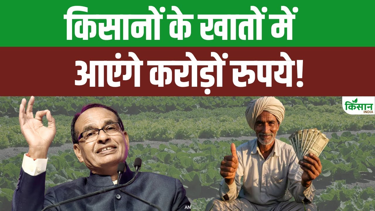 Pradhan Mantri Fasal Bima Yojana: किसानों के खातों मे आएंगे 1,156 करोड़ । Shivraj Singh Chouhan