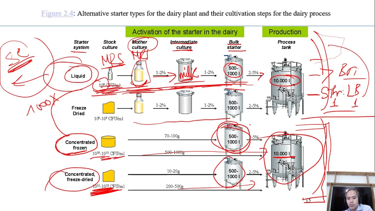 C7-02b growth and propagation and inhibition of starter cultures| fermented milk| Dairy technology