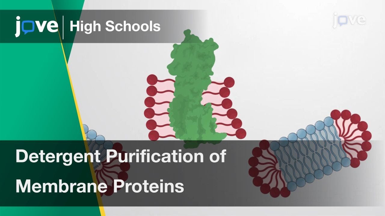 Detergent Purification of Membrane Proteins | Cell Bio | Video Textbooks - Preview