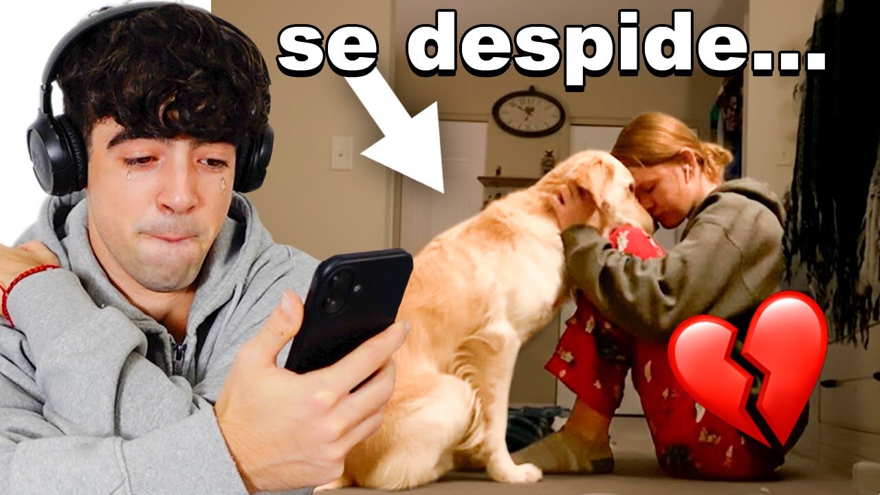 Intenta NO LLORAR con Estos Vídeos *imposible*