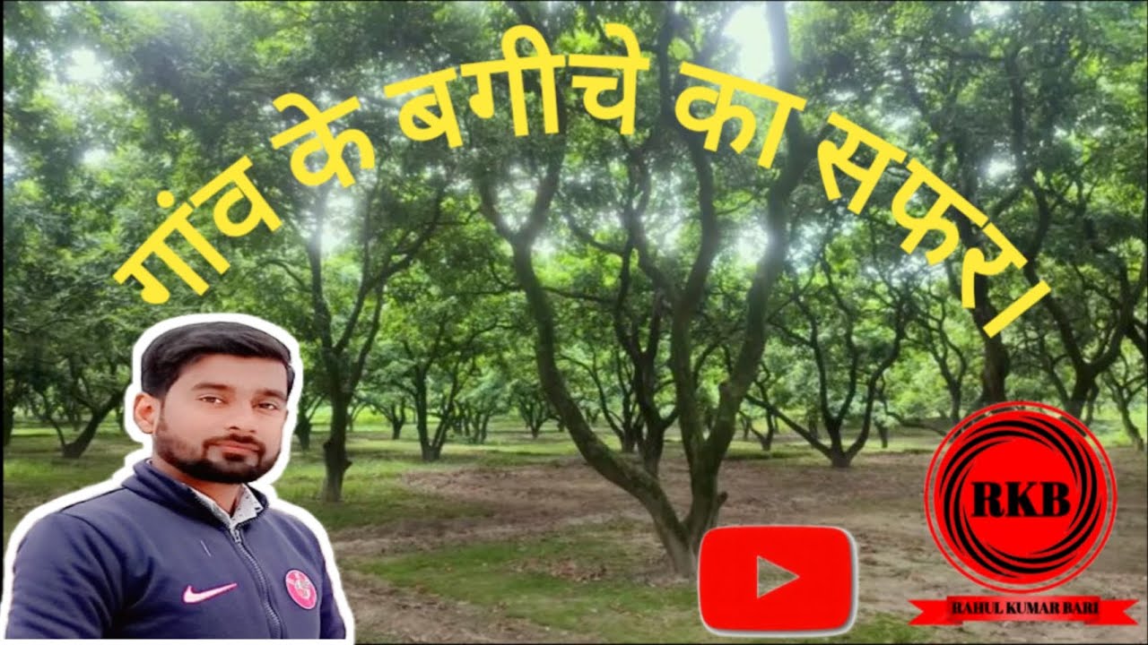 #village garden #gaon ke bagicha#aam ka bagicha