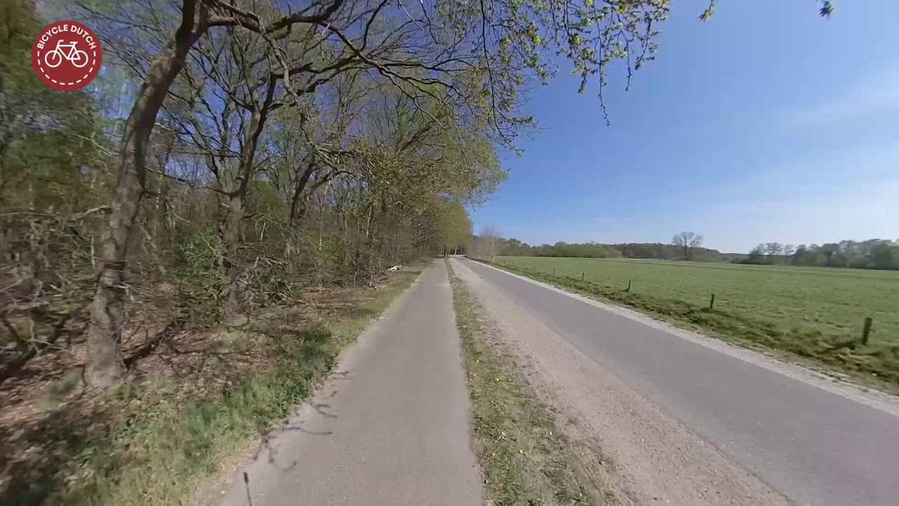 Cycling in a Dutch National Park