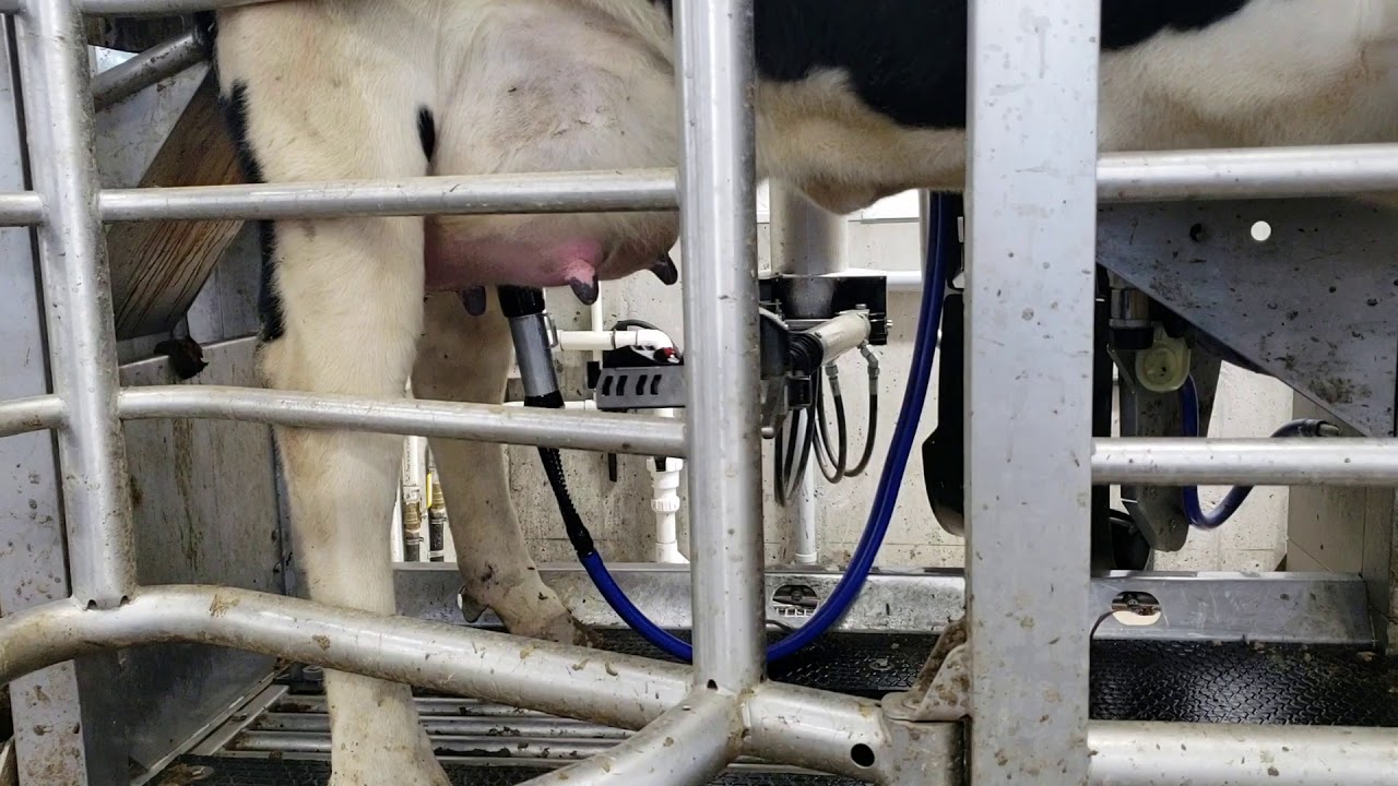 Delaval Vms V300, attachment.