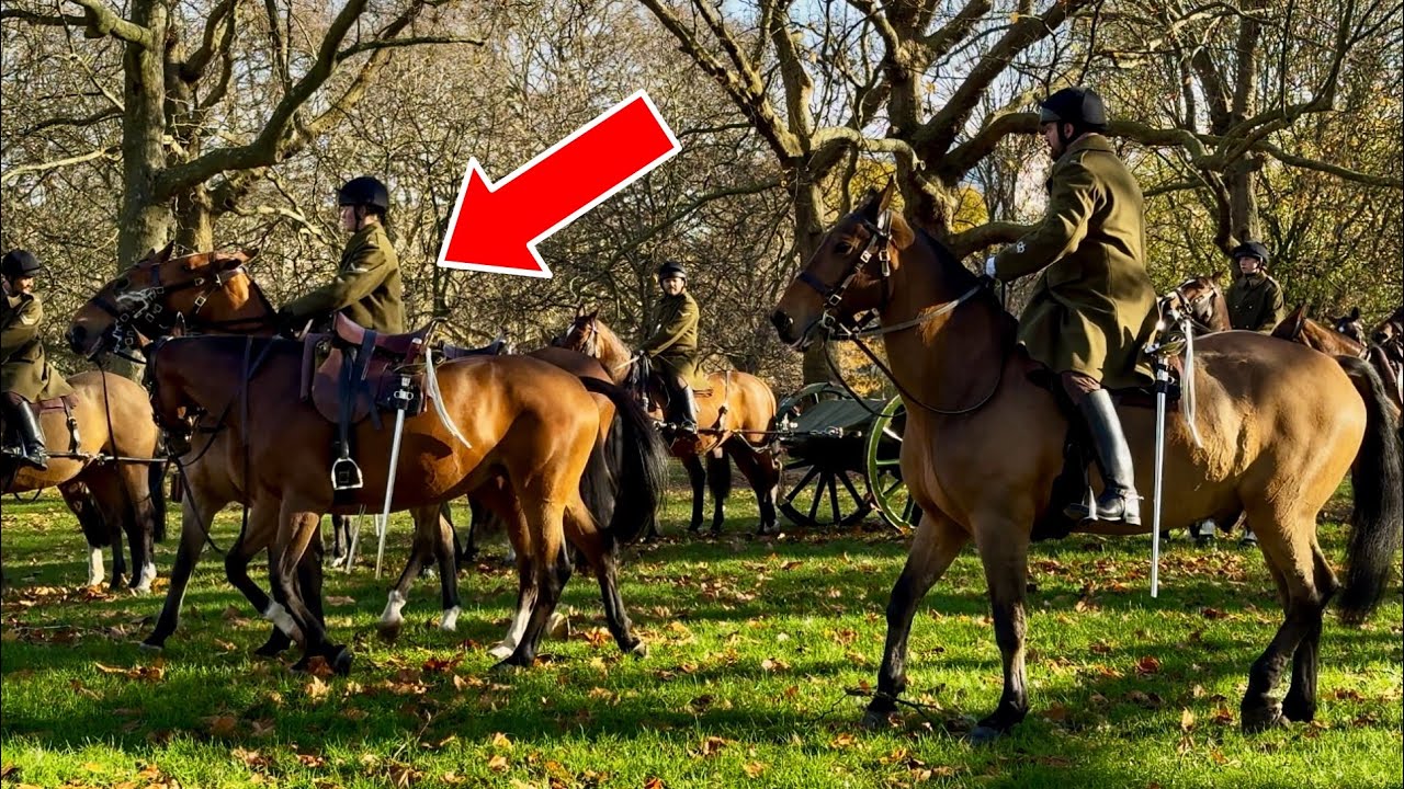 THE ROYAL HORSE ARTILLERY PREPARE FOR A THUNDEROUS GUN SALUTE IN GREEN PARK 🇬🇧