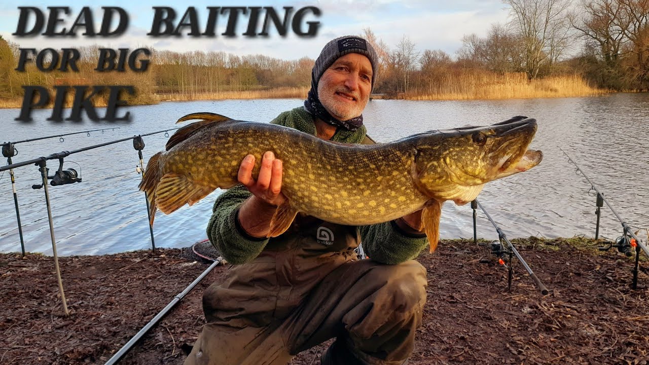 BIG  PIKE , covered in