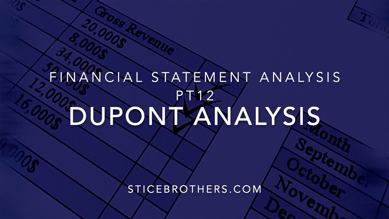 FSA12: DuPont Analysis