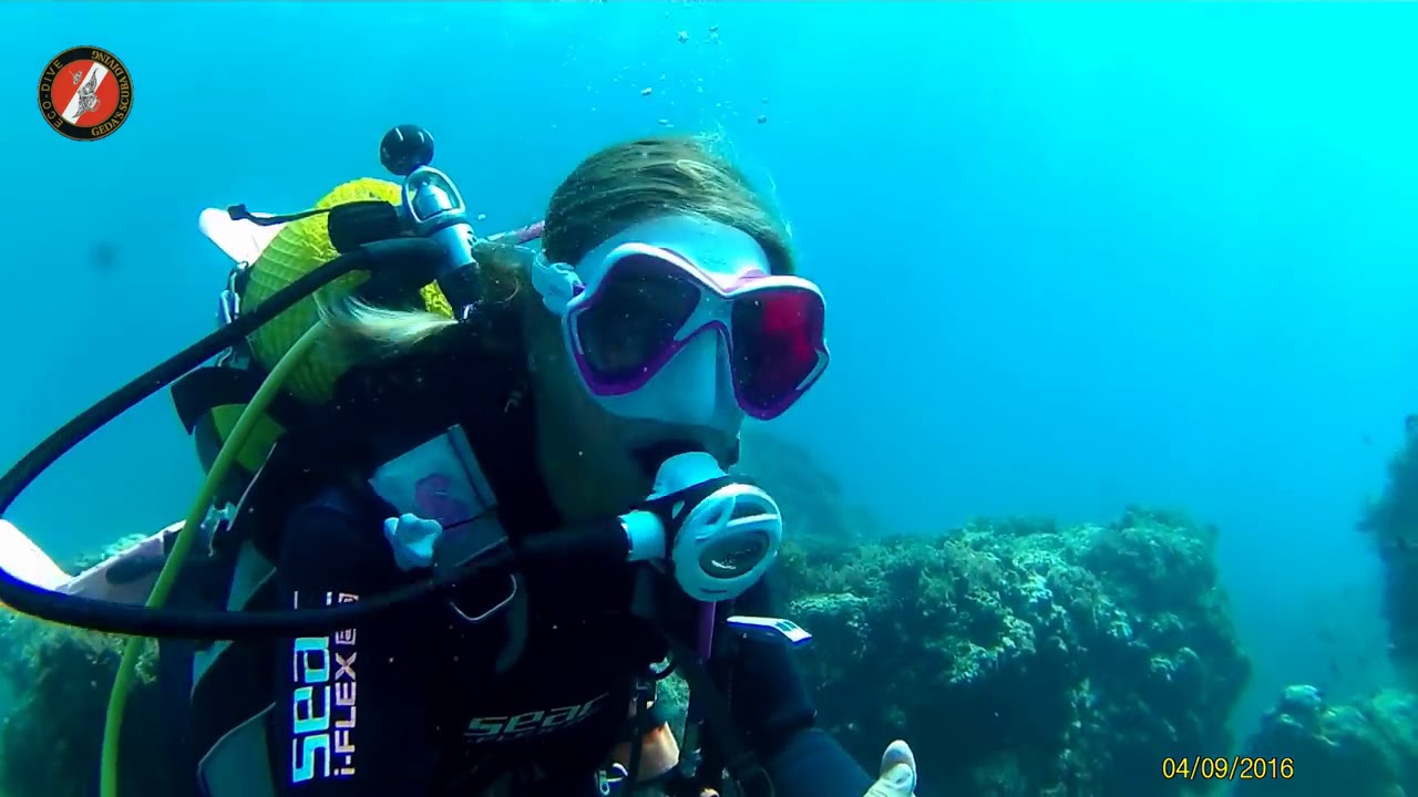 Buceo la Herradura Inmersion con Pez Ballesta - Alboran Sea Hope Spot