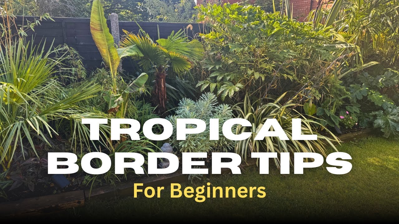 Tropical Garden Border Made Easy | Beginner’s Guide to Lush Border