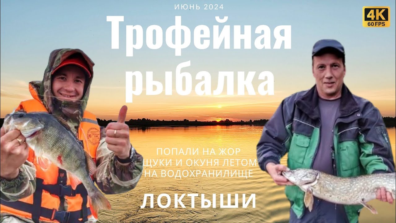 ТРОФЕЙНАЯ рыбалка летом. Попали на ЖОР. 3 дня на водохранилище ЛОКТЫШИ