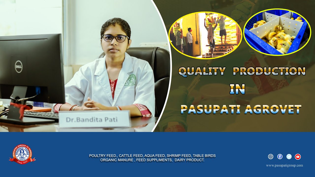 High-Quality Feed Production at Pasupati Agrovet || ଉନ୍ନତ ମାନର କୁକୁଡା ଦାନା ଓ କୁକୁଡା ଛୁଆ।