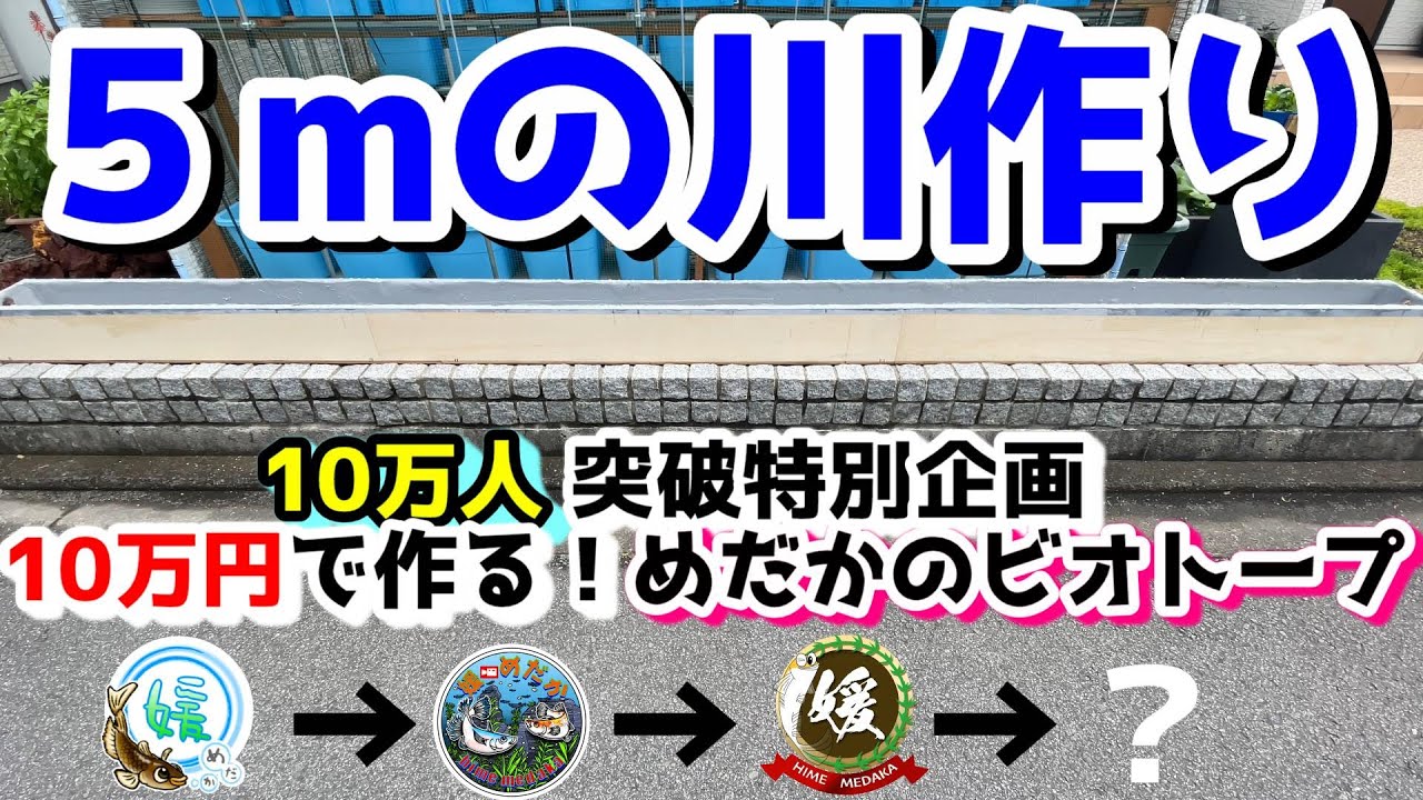 メダカのためのFRP水槽の作り方～５mの川を作る～【媛めだか/めだかのビオトープ】