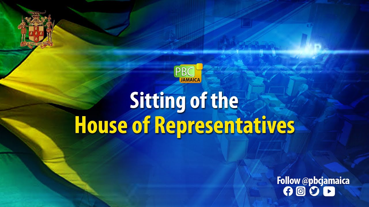 Sitting of the House of Representatives || September 24, 2024