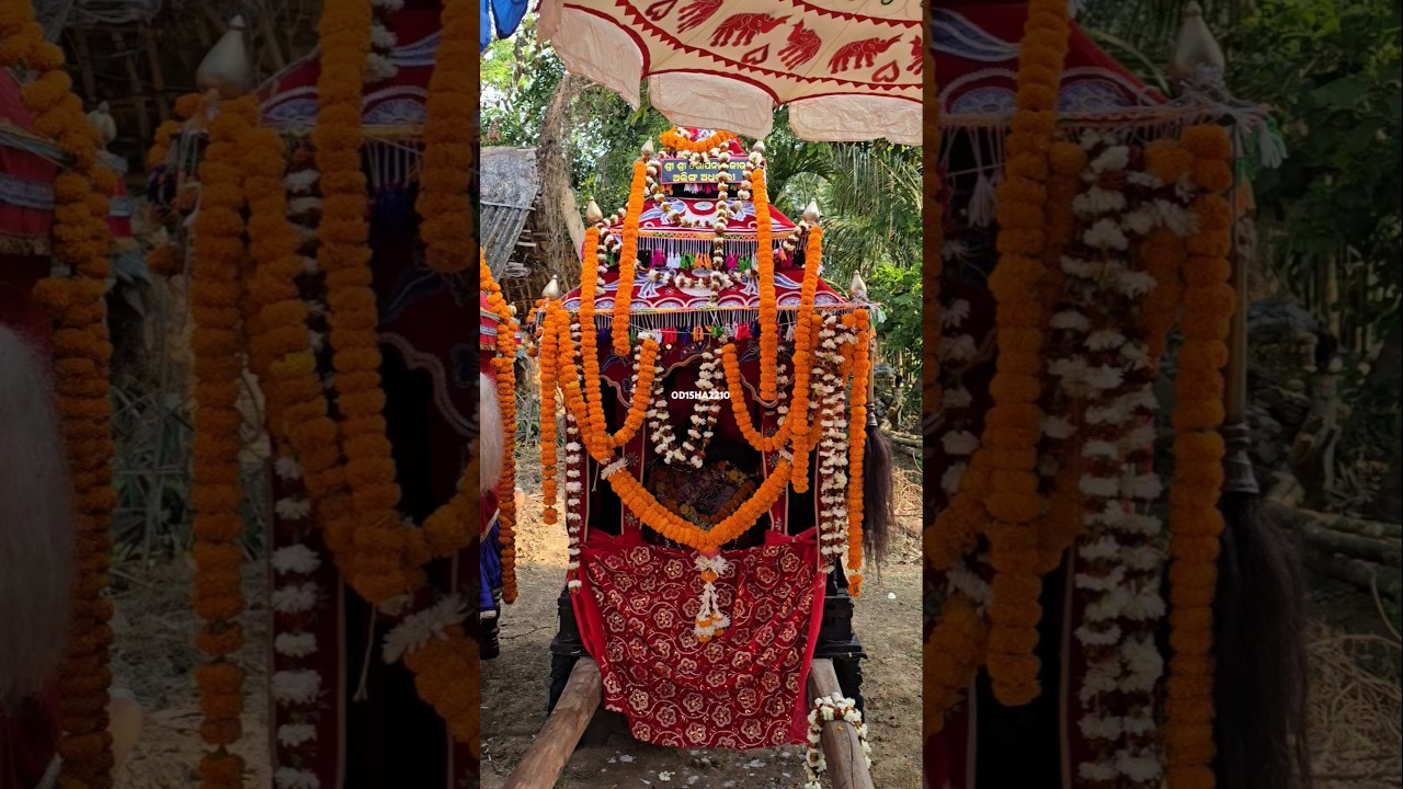 Dola Melana #dolamelana #cuttackpujafestivals #odisha #radhakrishna #krishna #holi #shorts #viral