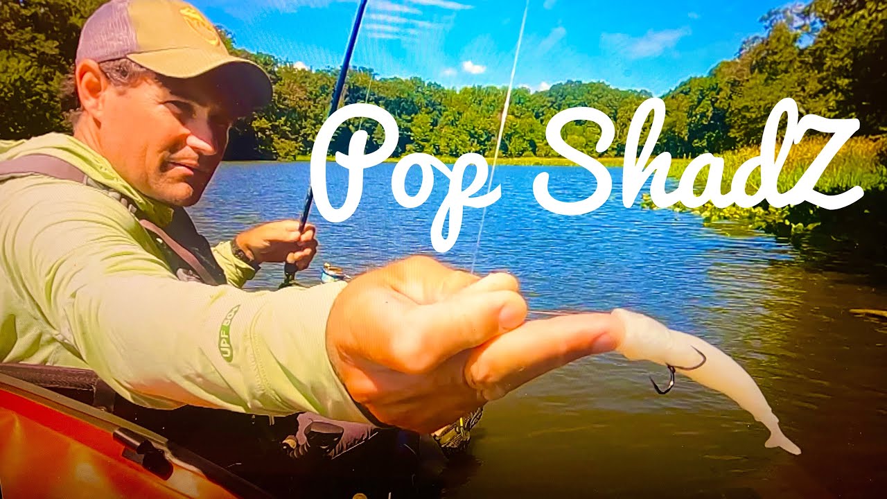 I'm not flipping you off! I'm showing your my POP SHADZ!