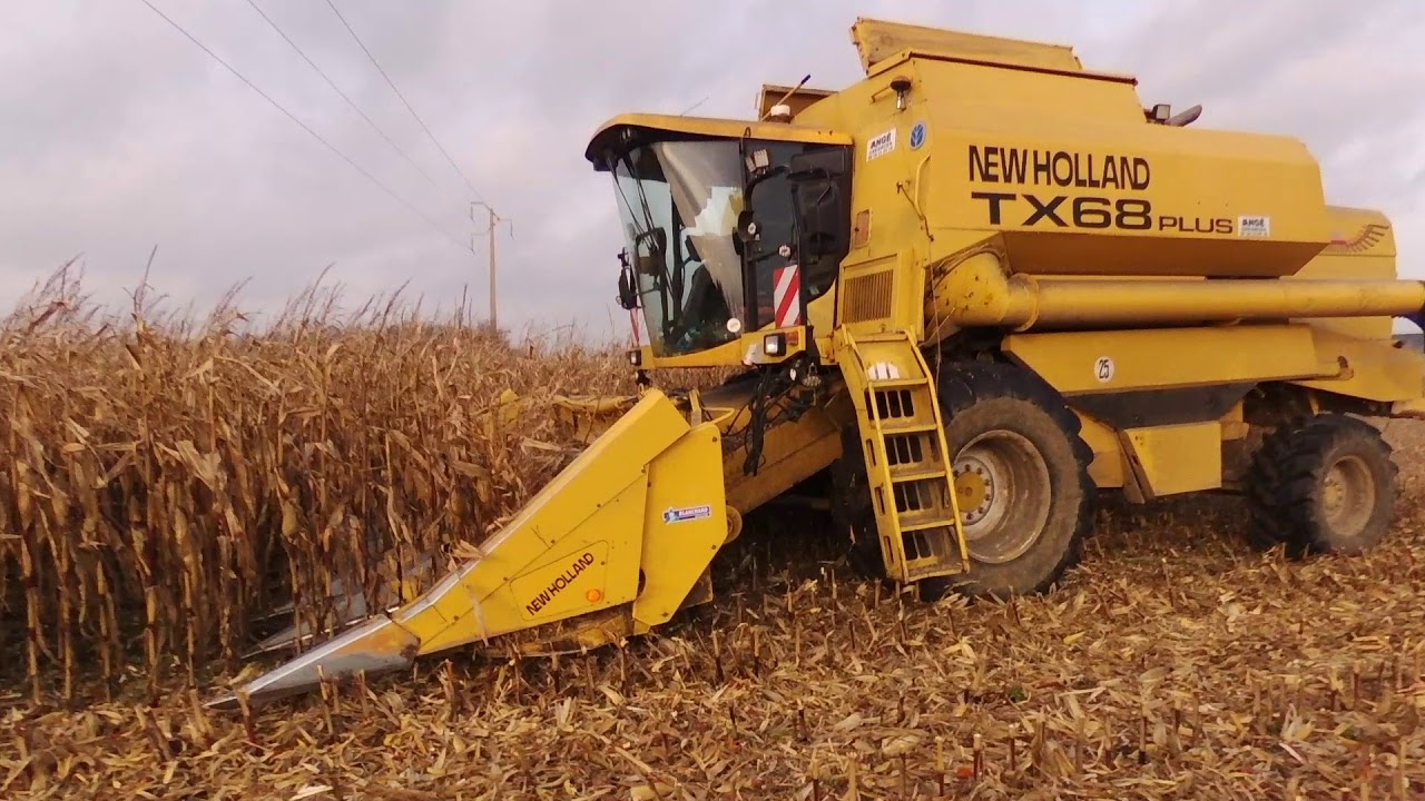 Moisson maïs grain fin de campagne 2017 ETA Angé