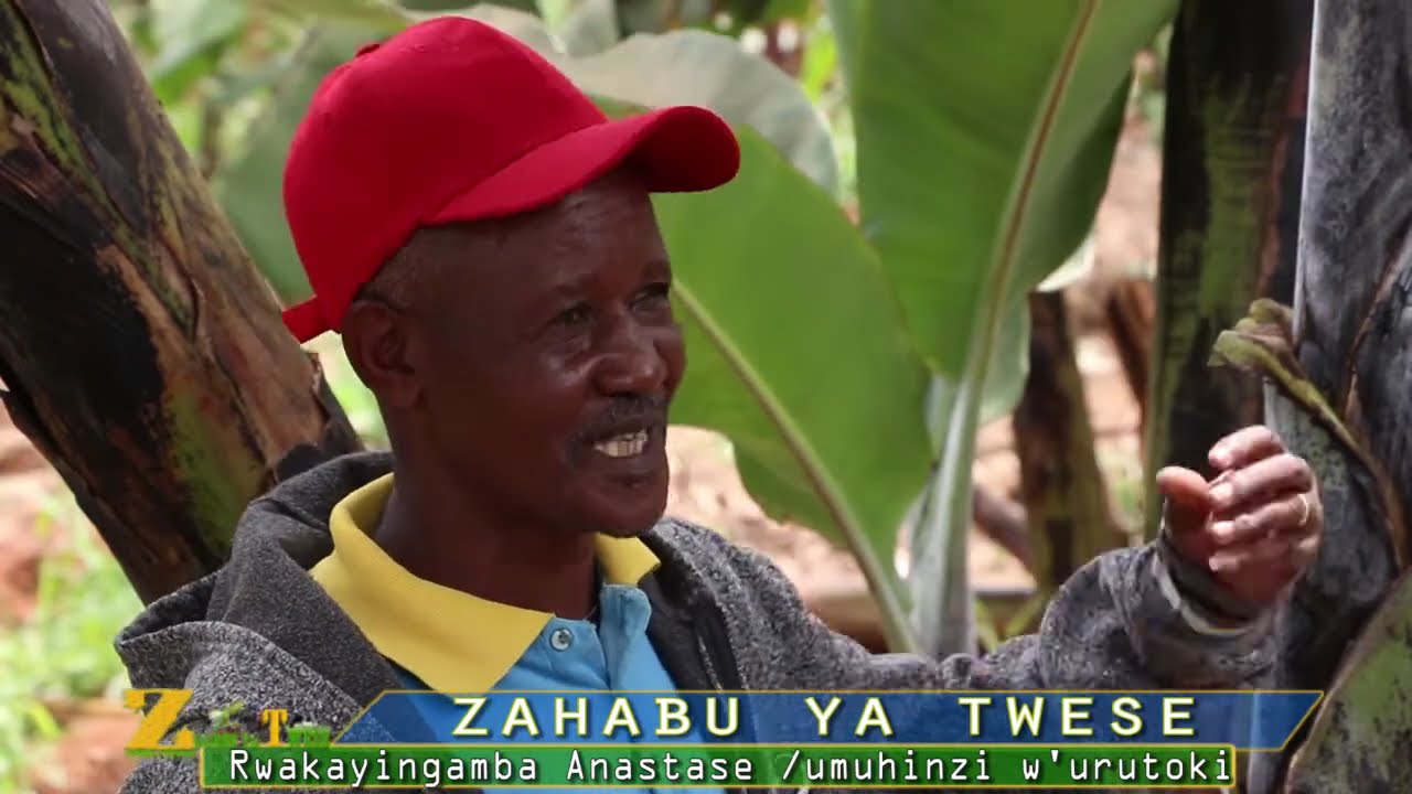 Nguyu umuhinzi w'urutoki usarura akayabo k'amafaranga