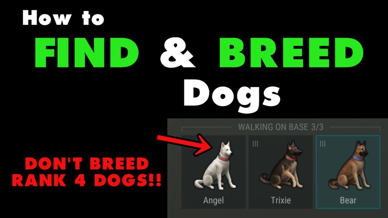 How to Find and Breed Dogs in Last Day on Earth Survival. LDOE puppy food