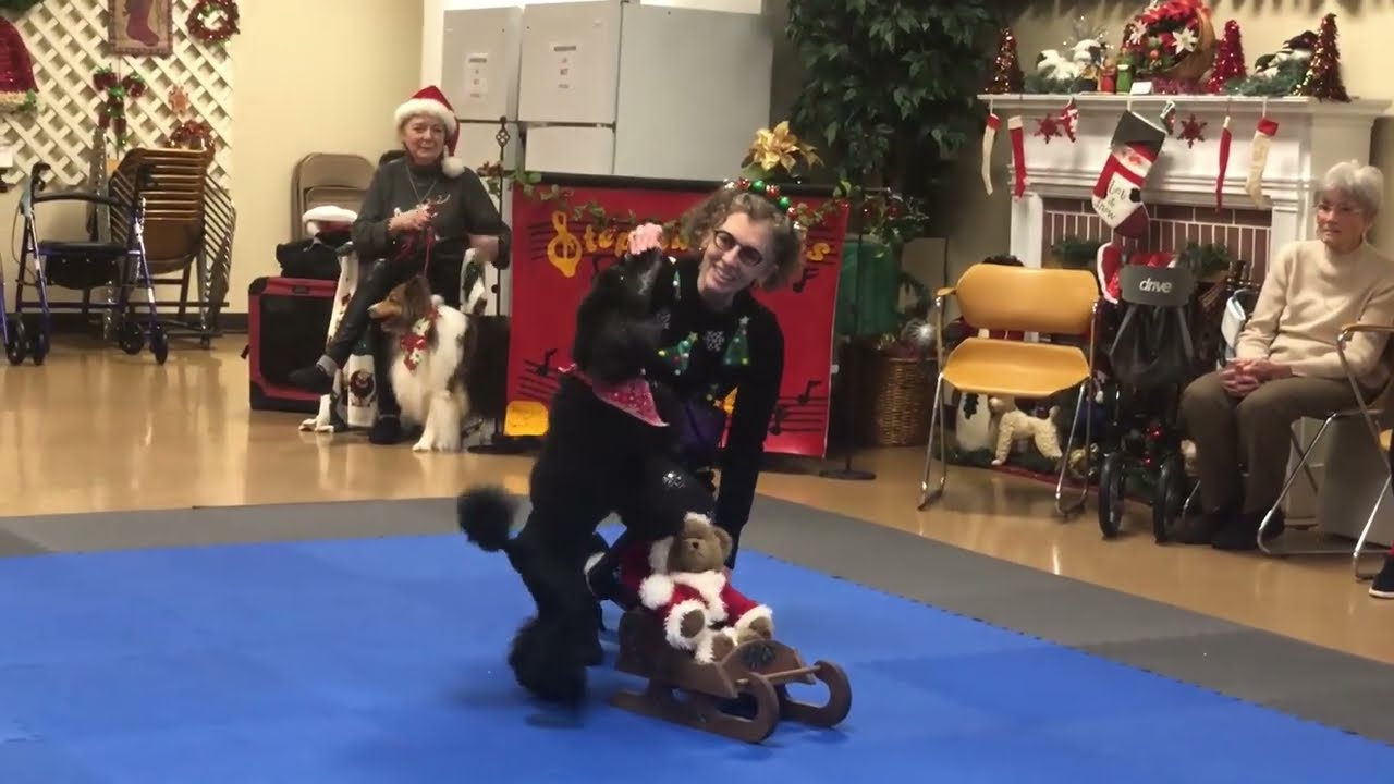 Bethany Towers 12/11/2022 - Cecily and Gracie Dancing to 