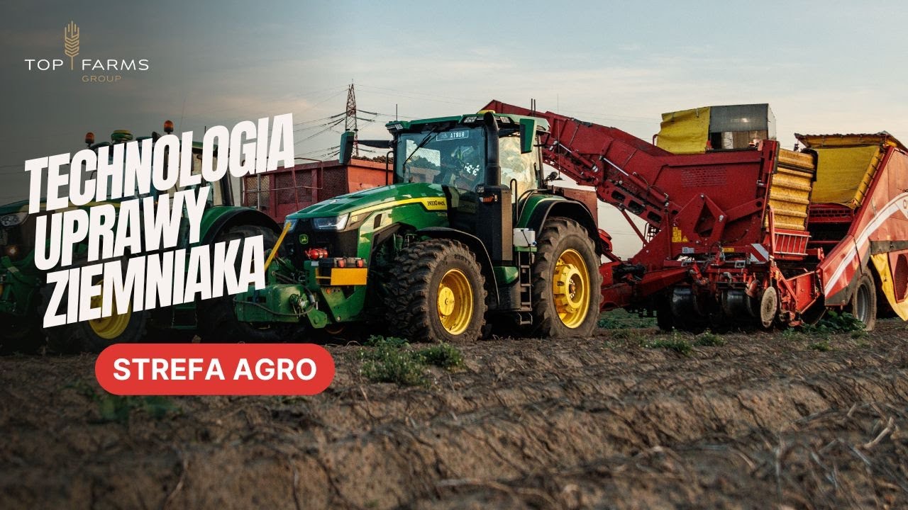 🎥 STREFA AGRO: Proces ziemniaka w wielkopolskich gospodarstwach grupy Top Farms 🥔