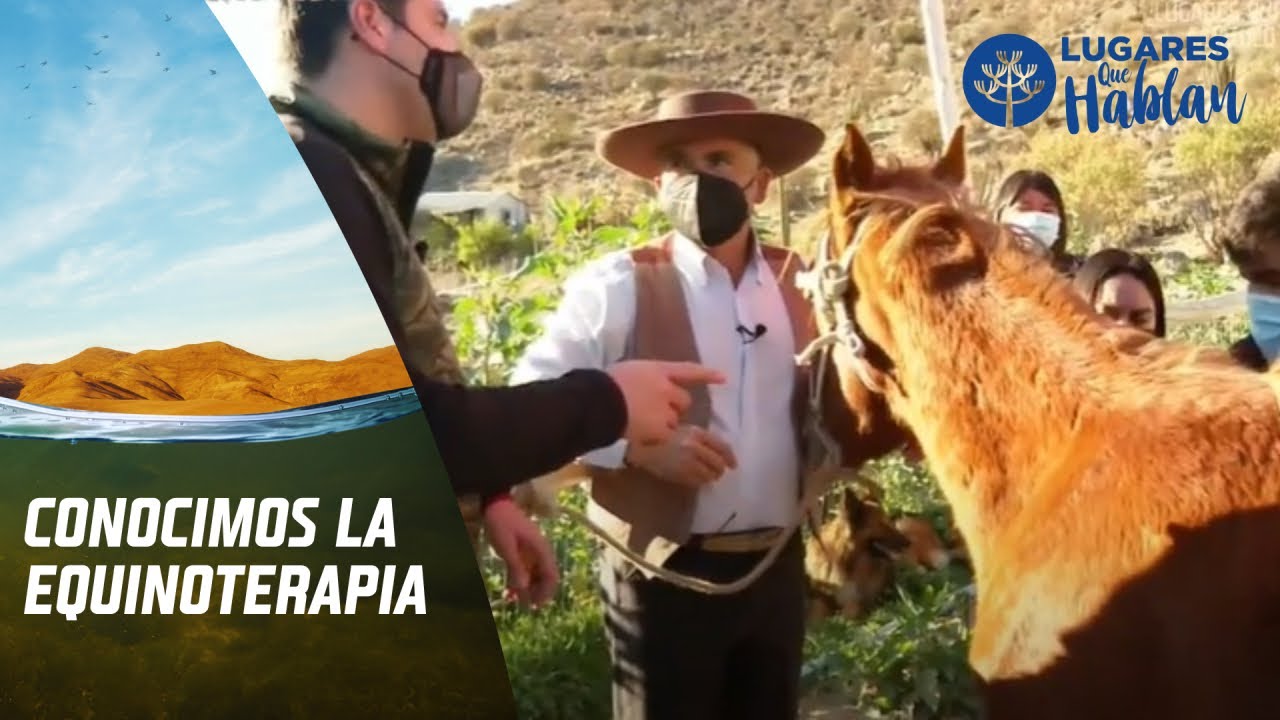 Conociendo Monte Patria  y la hermosa labor de la Equinoterapia. Lugares que hablan, Cap&iacute;tulo 4.