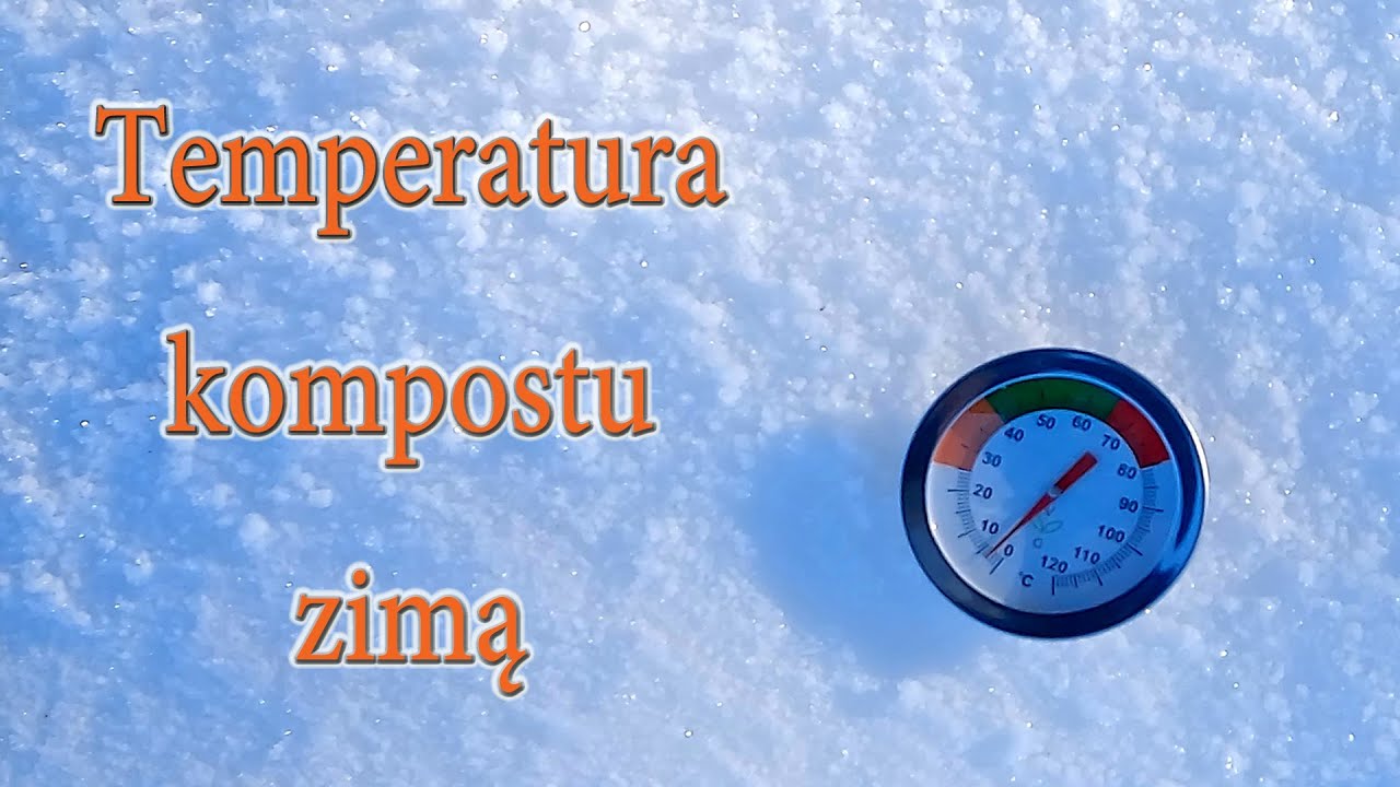 Temperatura kompostu zimą - termometr kompostowy - Ogrodowe pierdamony 129