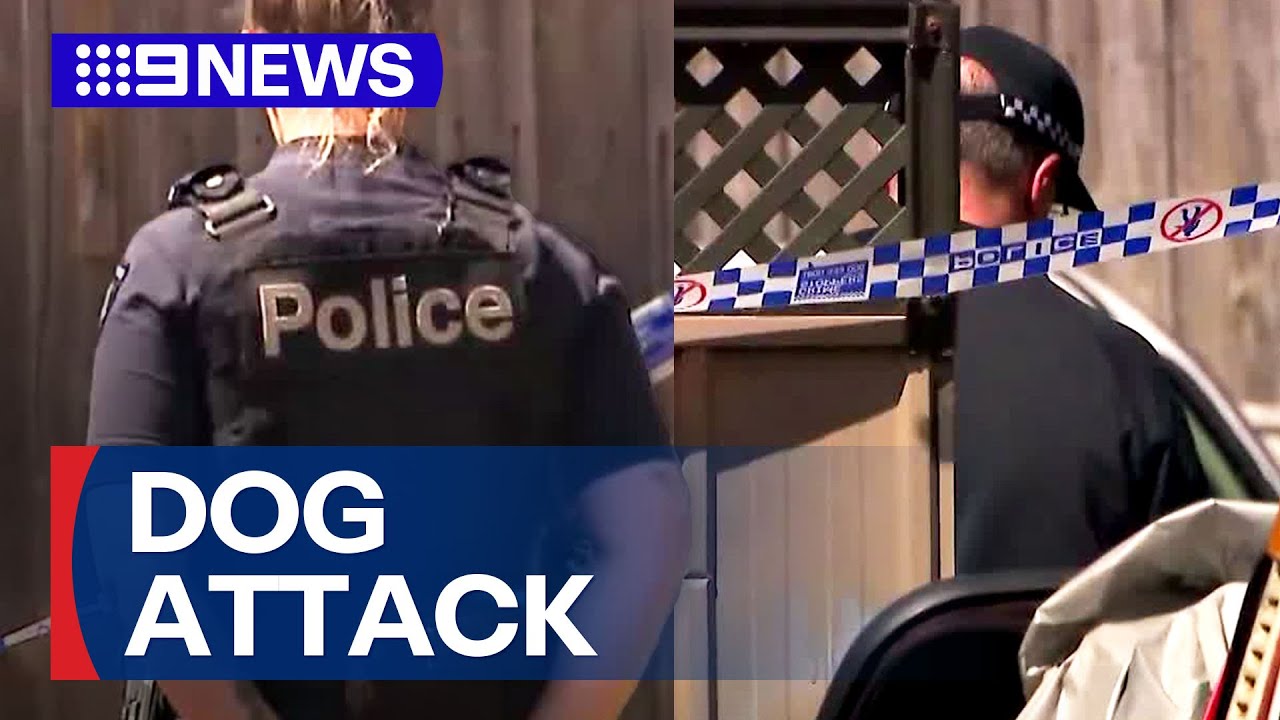 Three dogs fatally shot by police after woman critically injured in attack | 9 News Australia