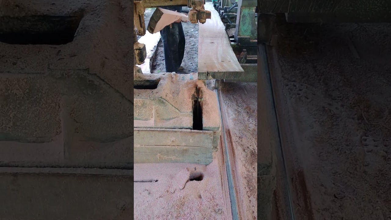 Proses kayu wadang di jadikan balok....#woodworking