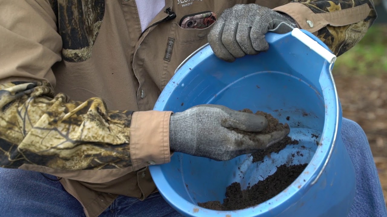How to Set Coyote Traps | Louisiana Sportsman