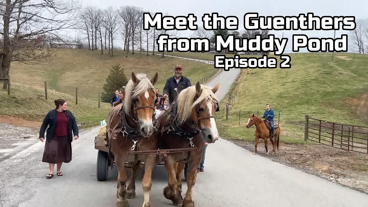 Why This Mennonite Family Was Expelled From Their Church